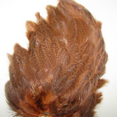 1/2 Whiting soft hackle Brahma ���� ������ ������ ����������� �����